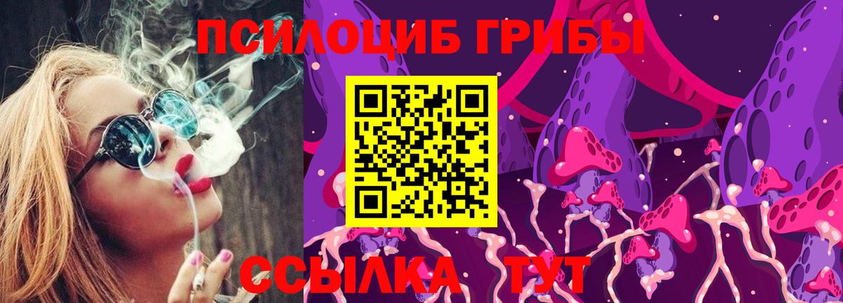 Псилоцибиновые грибы Psilocybine cubensis  Псилоцибиновые грибы Psilocybe  Вход с VPN  Альметьевск 